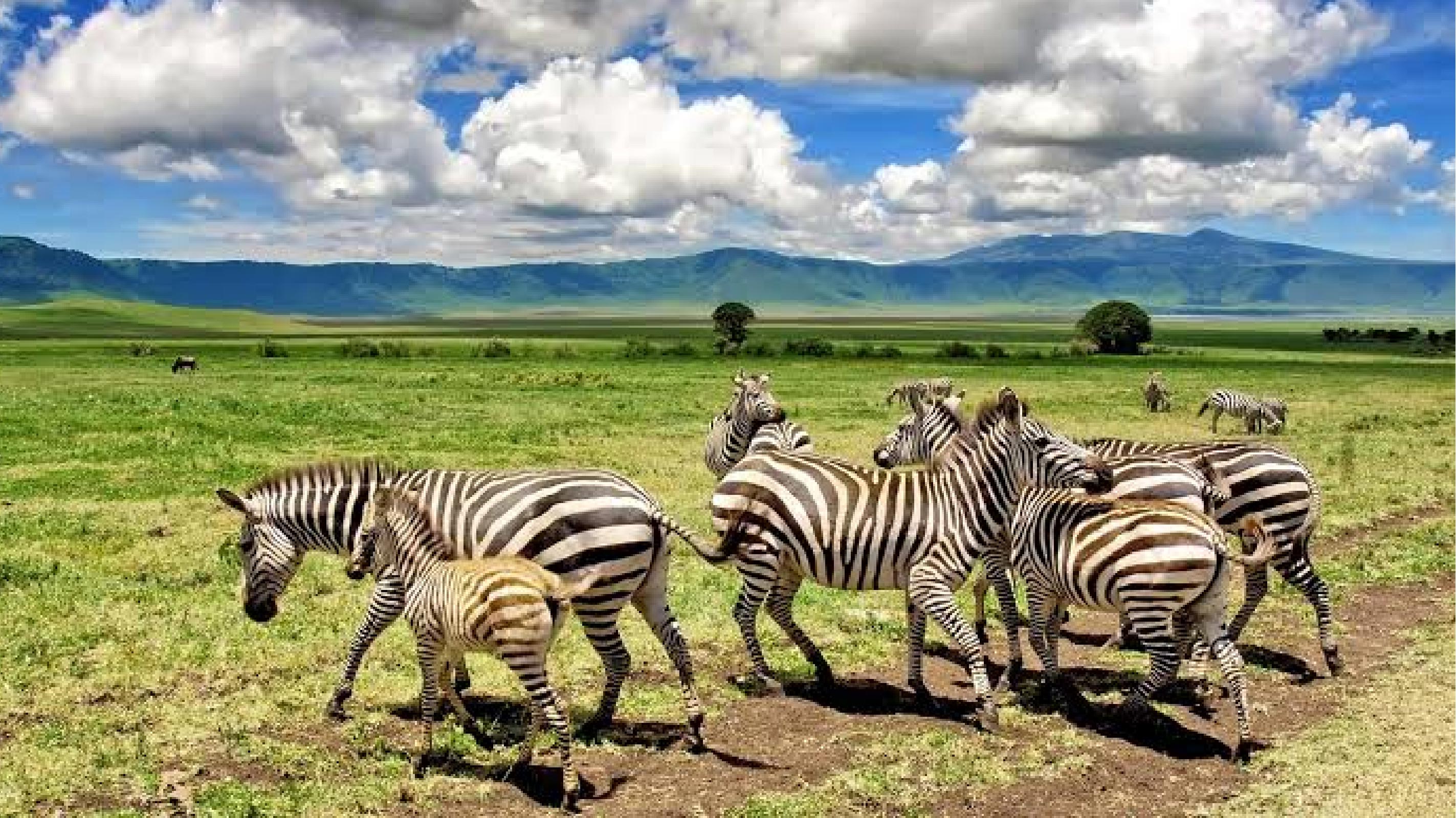 Ngorongoro Conservation Area